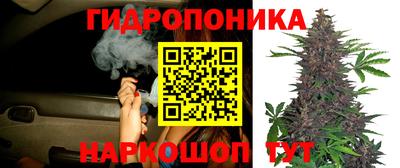 хмурый Чебоксары