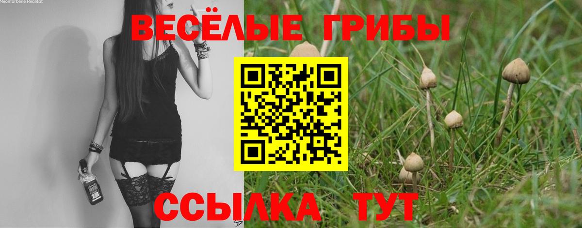 Саров  Галлюциногенные грибы GOLDEN TEACHER  Вход с VPN  Галлюциногенные грибы GOLDEN TEACHER 